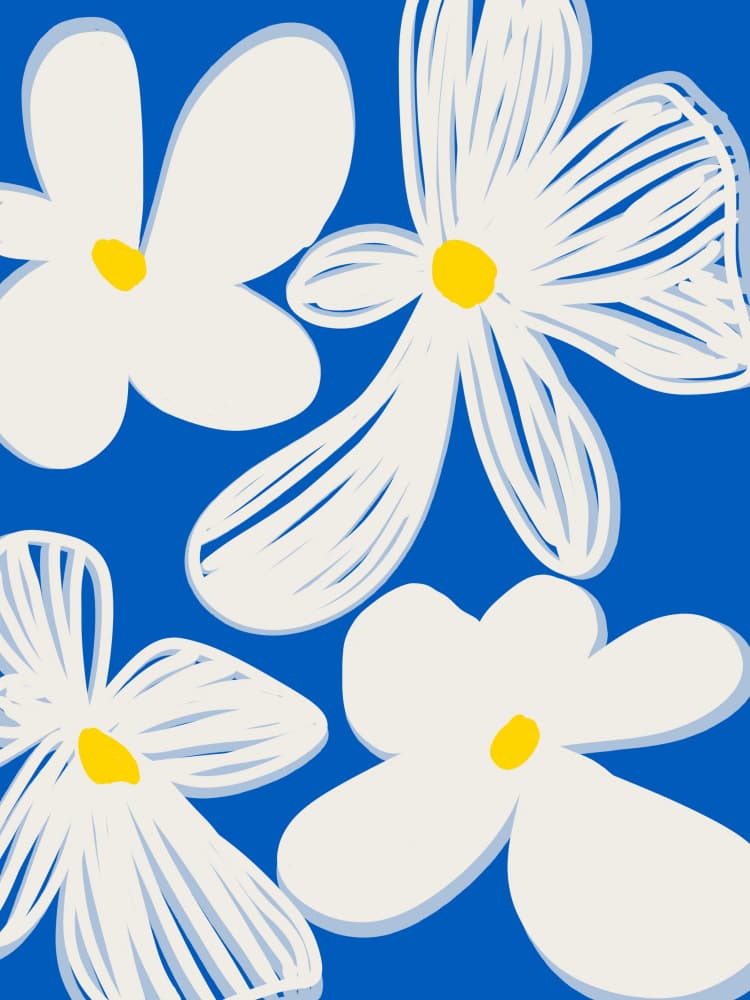 Cheerful White Blooms by Studio Palette — canvas wall art