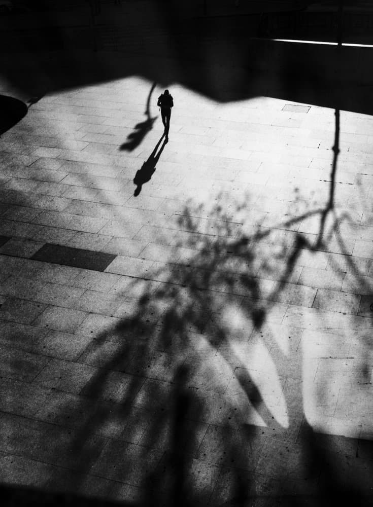 Shadow Walk by Paulo Abrantes — canvas wall art