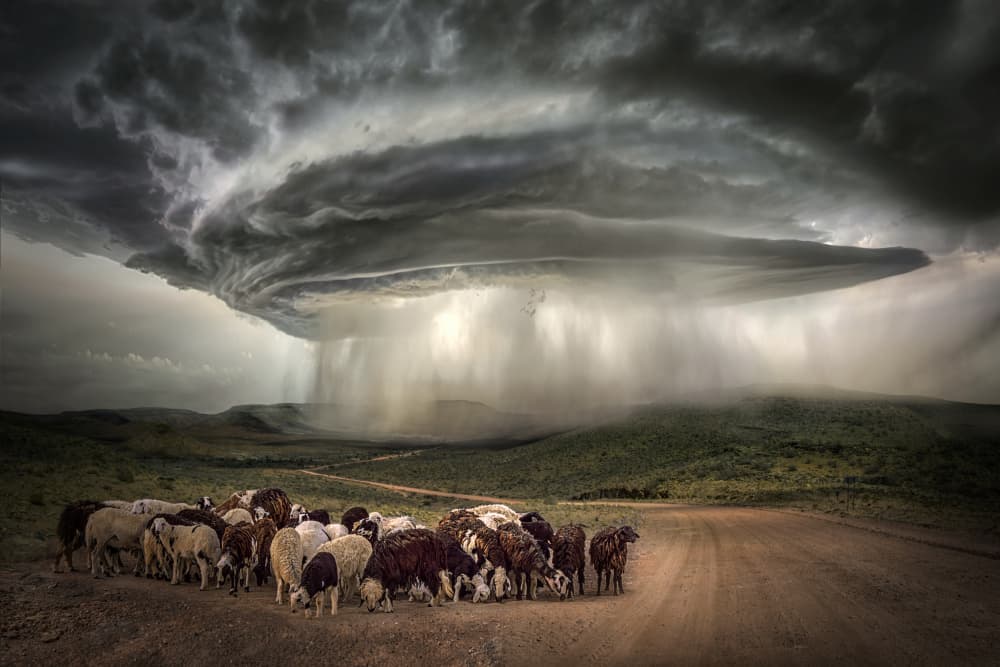 Dramatic Storm Over Sheep by Marcel Egger — canvas wall art