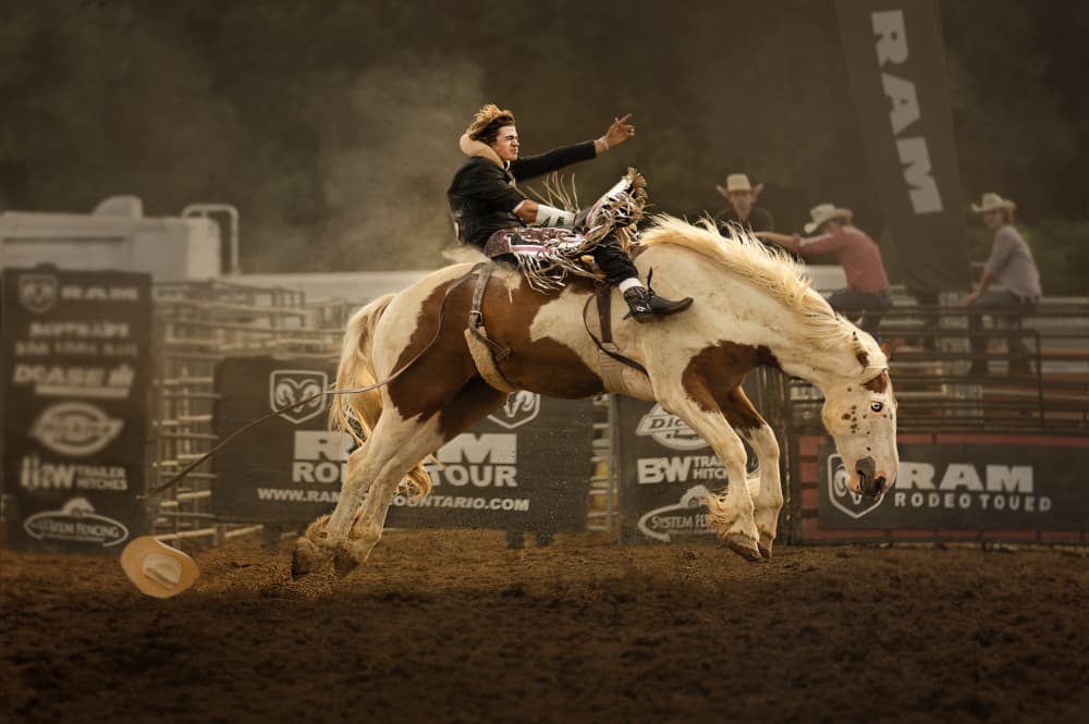 Wild Rodeo Ride by Molly Fu APA — canvas wall art