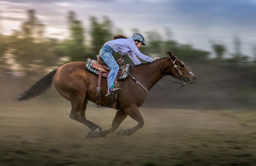 Galloping Horse Rider by Irene Wu — canvas wall art