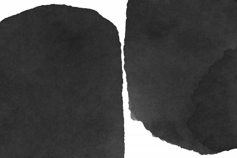 Abstract Ink Forms by amini54 — canvas wall art