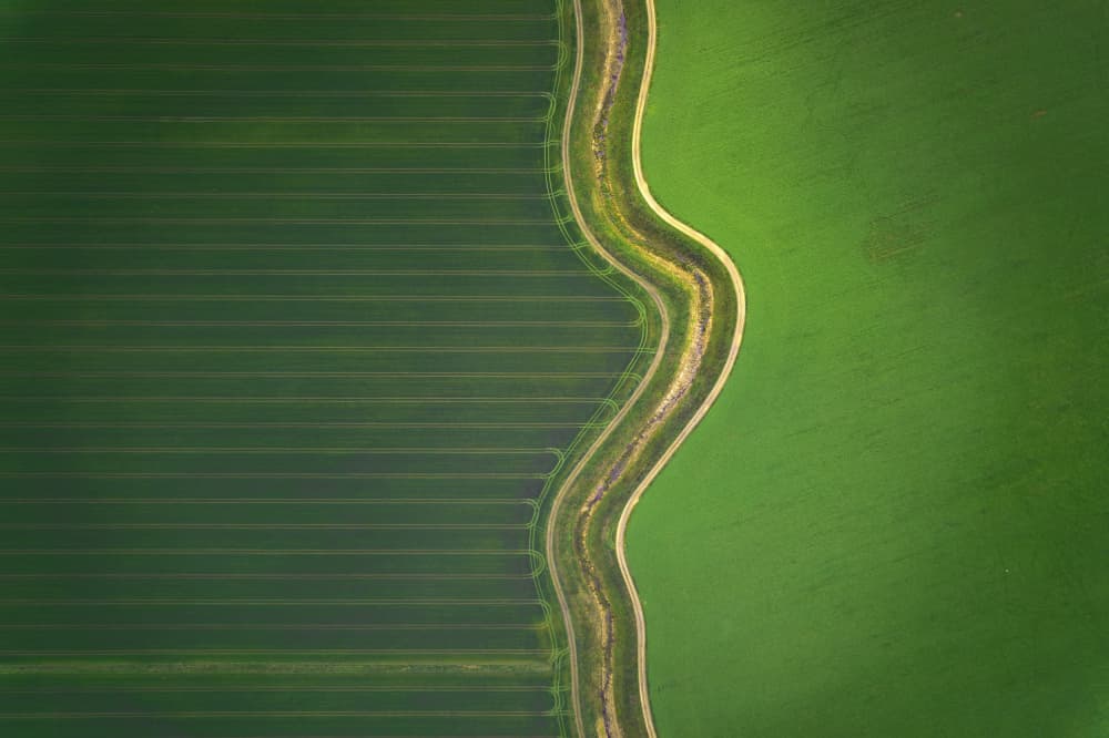 Wavy Path Green Fields by Jure Kravanja — canvas wall art