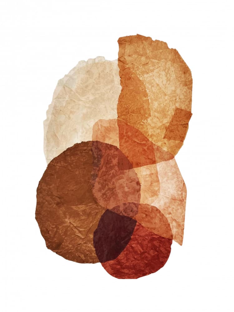 Earthy Abstract Shapes by Ohkimiko — canvas wall art