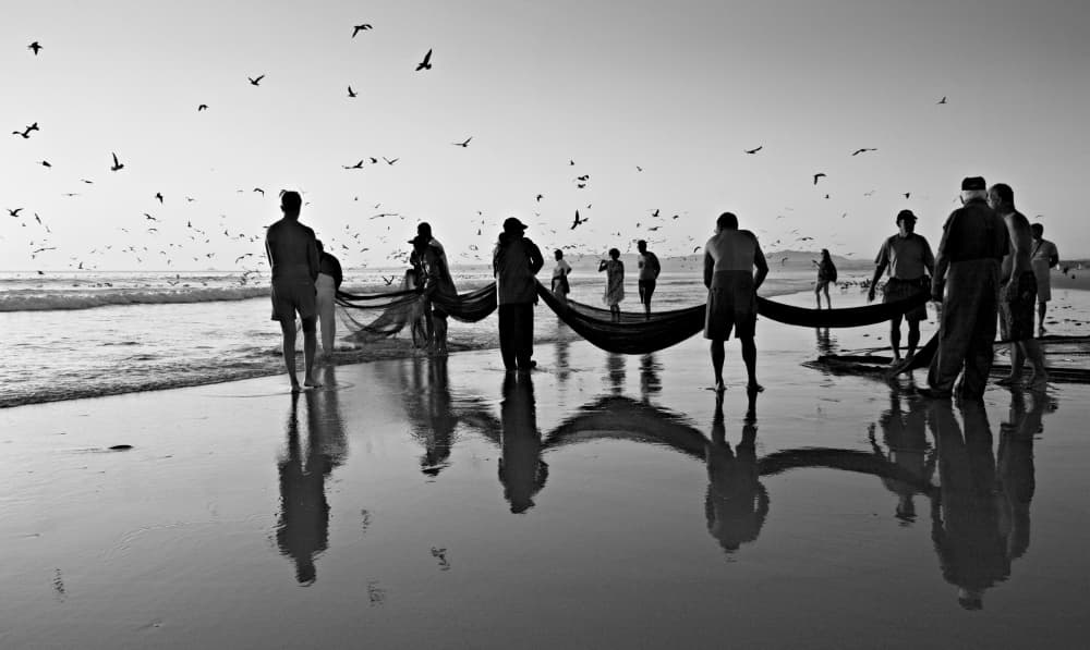 Coastal Fishing Silhouettes by Ezequiel59 — canvas wall art