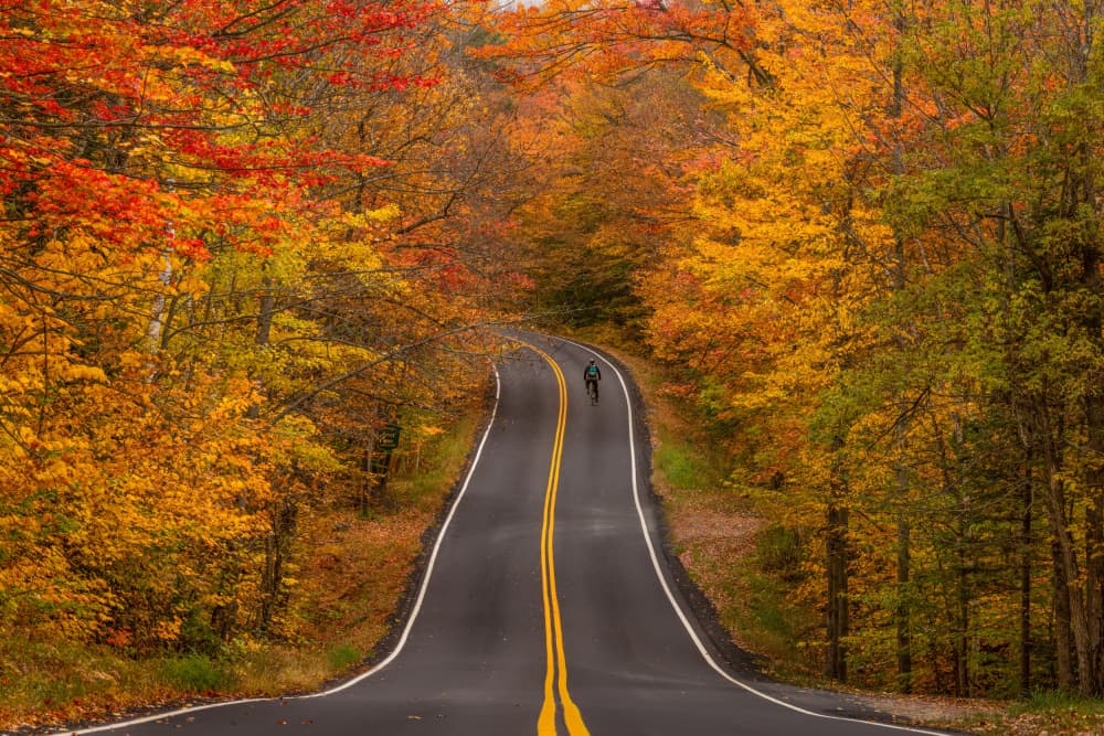 Colorful Autumn Journey by DonnaHom APA — canvas wall art
