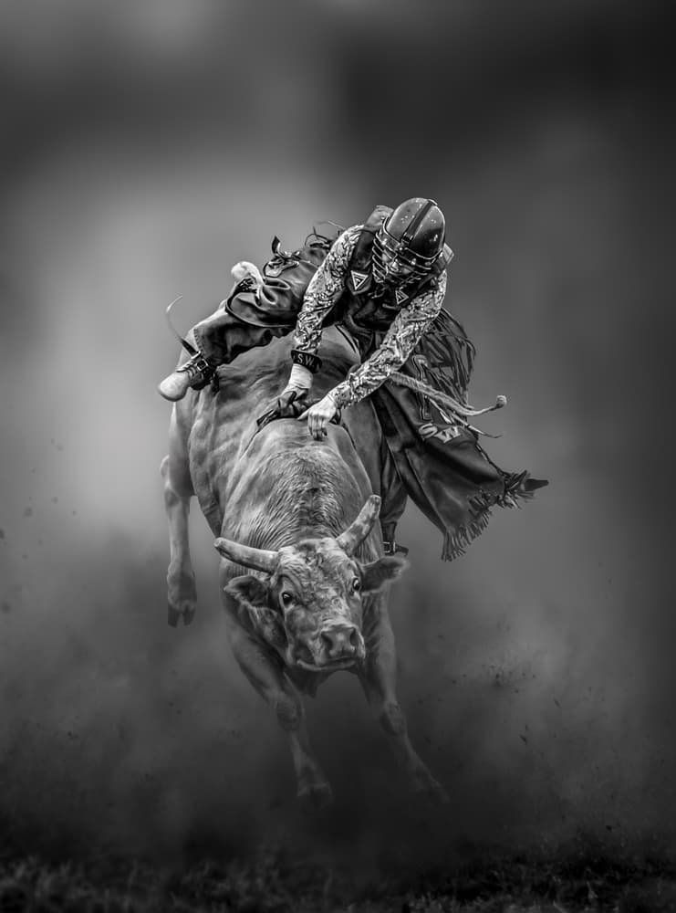Rodeo Bull Rider by Irene Wu — canvas wall art