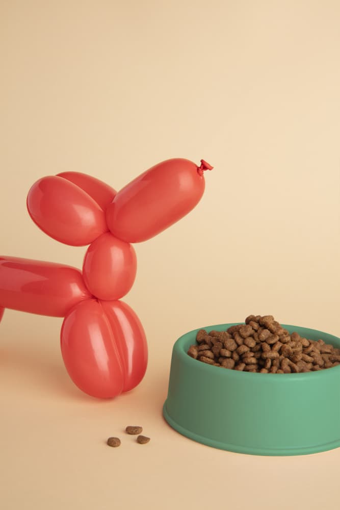 Red Balloon Dog by Julia Ramiro — canvas wall art