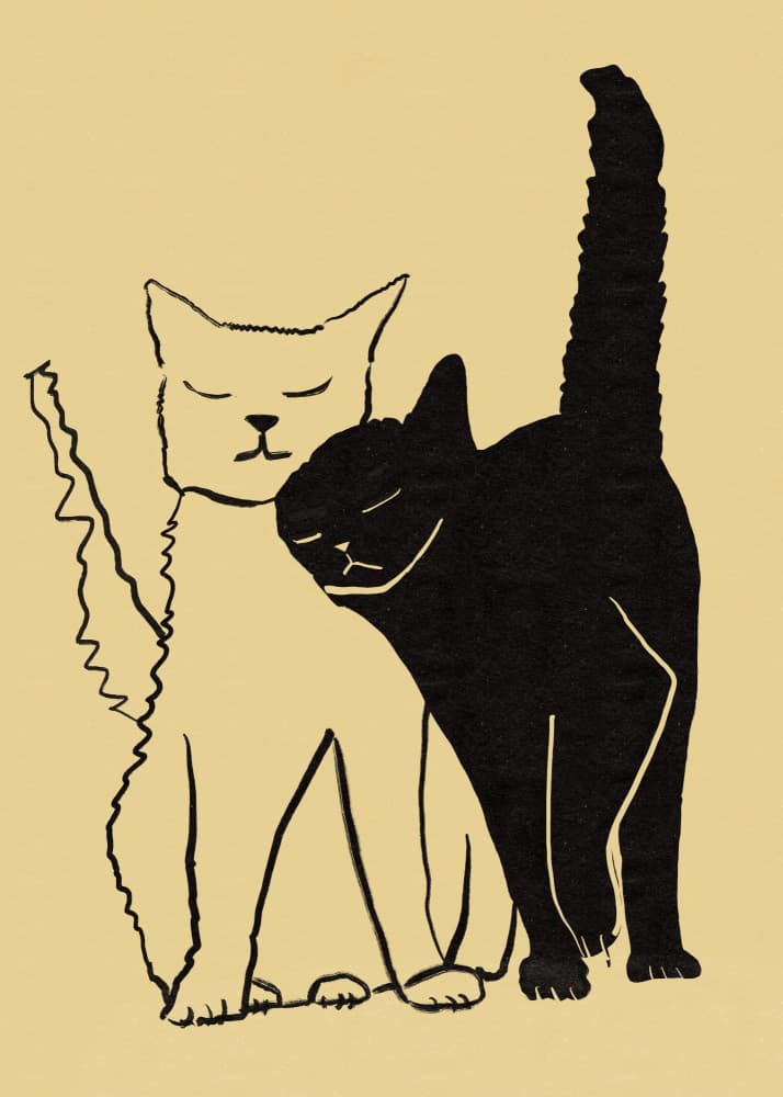 Cuddling Cat Couple by Sharyn Bursic — canvas wall art