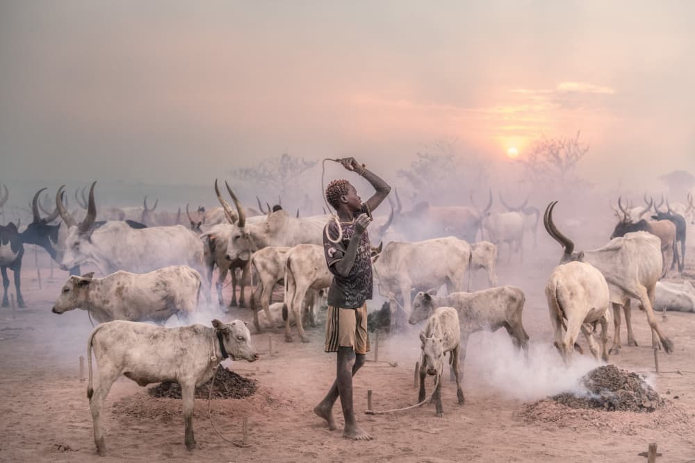 African Herder At Sunset by Trevor Cole — canvas wall art