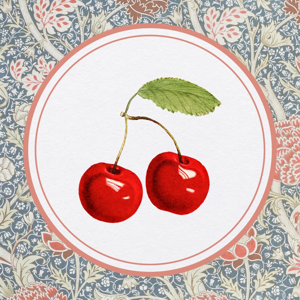 Vintage Cherry Botanical Pattern by Wild Violets — canvas wall art