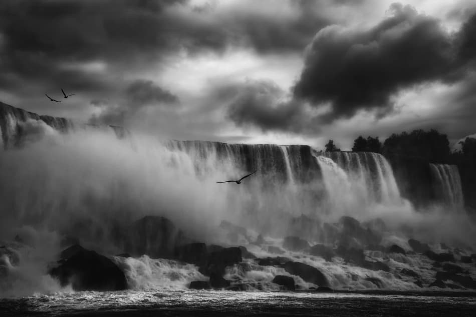 Dramatic Waterfall Birds by Yvette Depaepe — canvas wall art