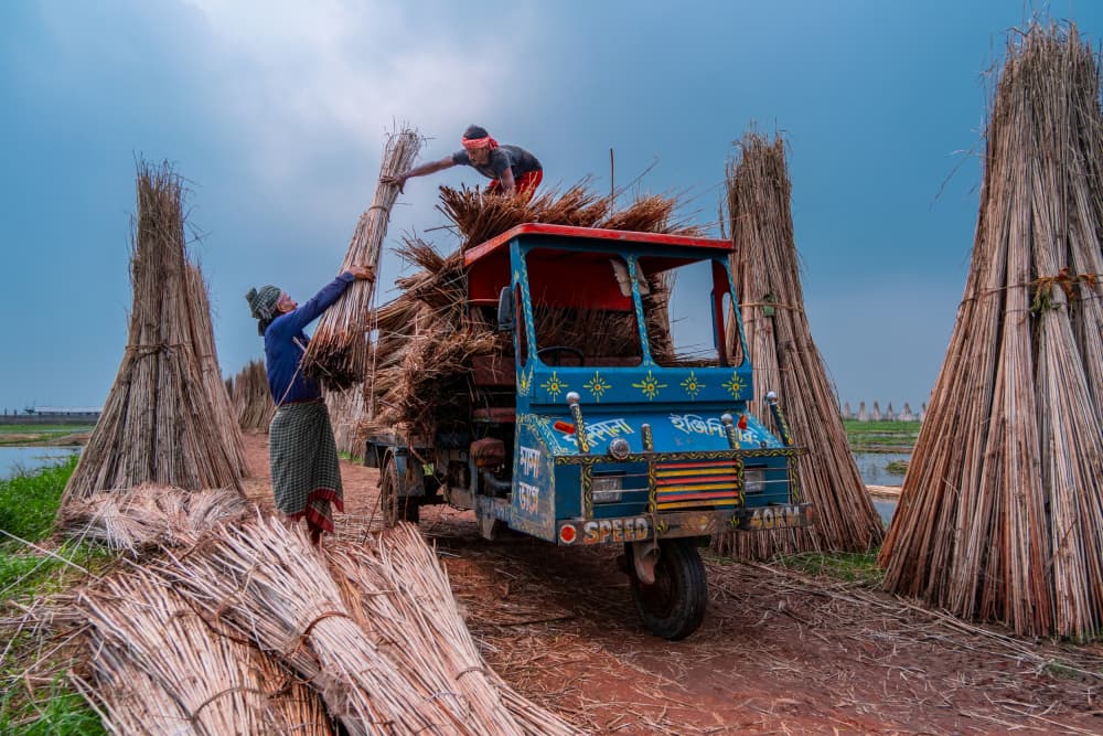 Loading Jute Bundles by Kuntal Biswas — canvas wall art