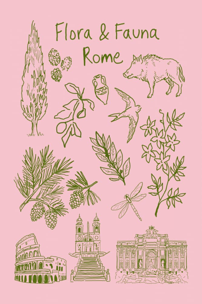 Rome Flora Fauna Landmarks by casa cartissi — canvas wall art