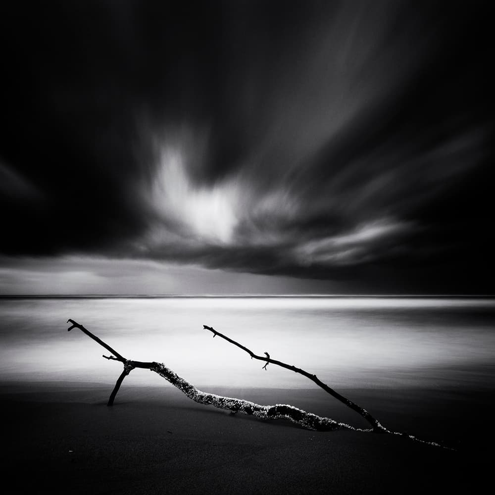 Moody Beach Driftwood by Massimo Della Latta — canvas wall art