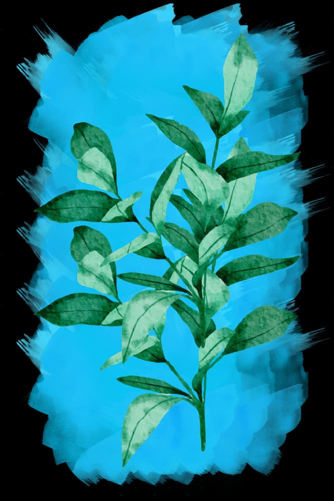 Botanical Blue Brushstrokes by Hussein Abdel Aal — canvas wall art