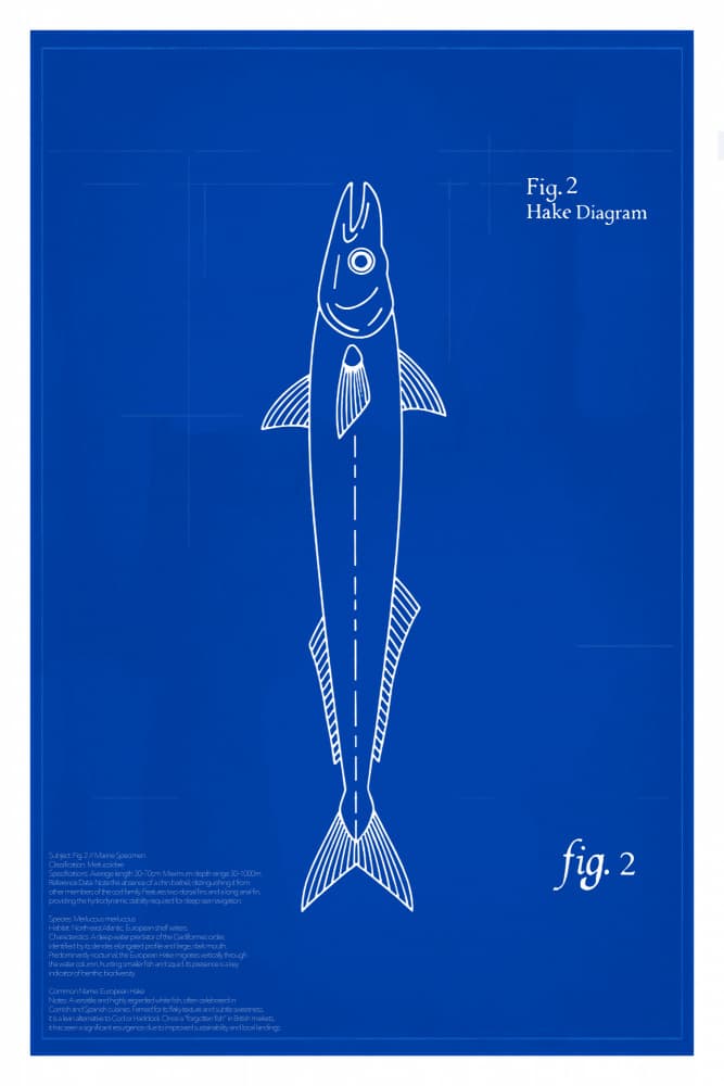 Hake (Fig. 2): The Deep-Water Nomad by cartissi — canvas wall art