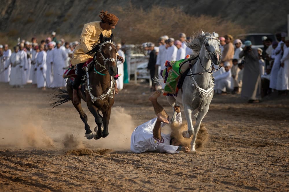 Arabian Horse Fall by Haitham AL Farsi — canvas wall art