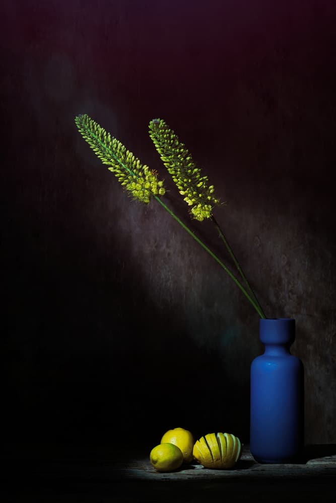 Moody Yellow Flowers Lemons by Saskia Dingemans — canvas wall art