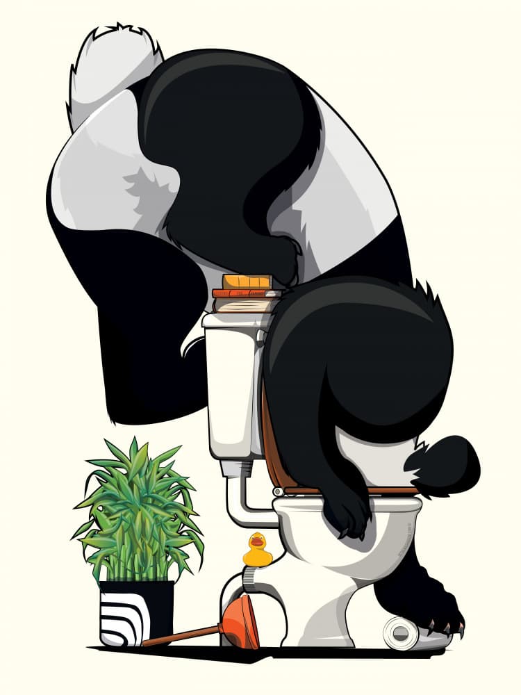 Panda Toilet Trouble by In The Washroom — canvas wall art