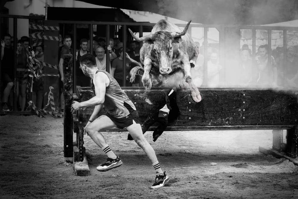 Dynamic Bull Jump by Gustavo Ribes — canvas wall art