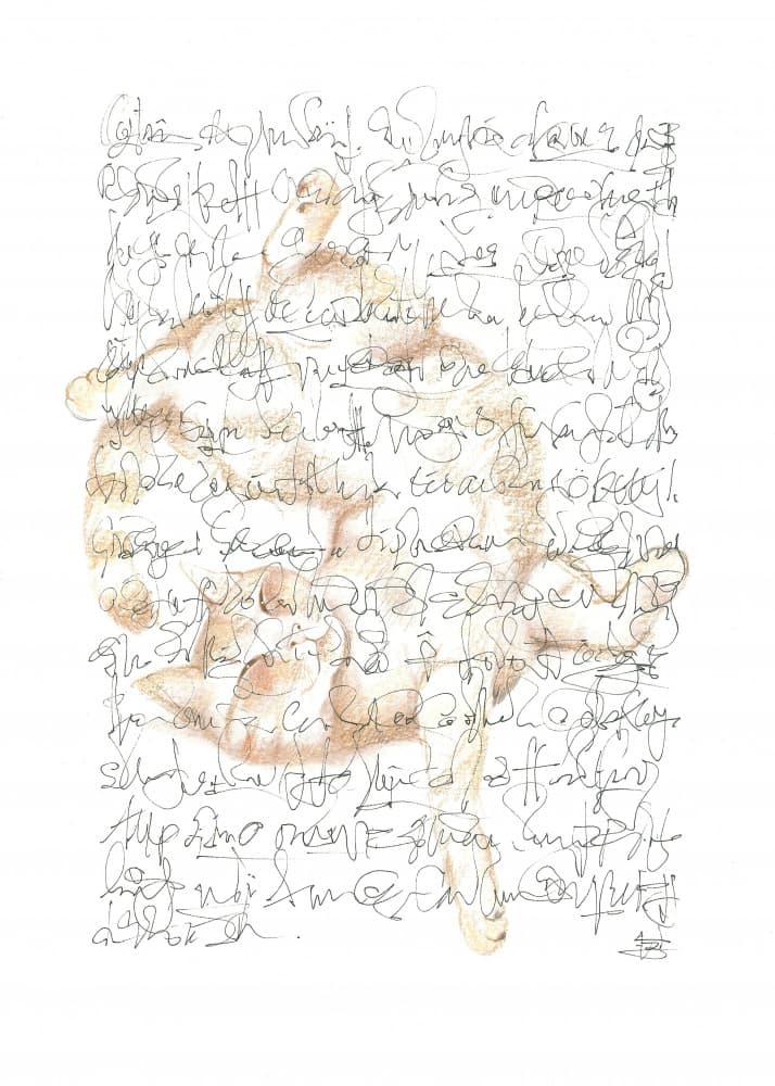 Asemic writing Ode To a Cat by Isabelle Brent — canvas wall art
