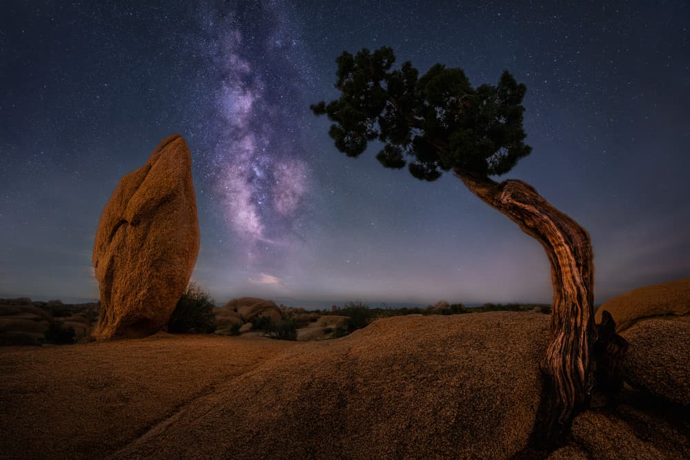 Milky Way Desert Night by Sophia Li — canvas wall art