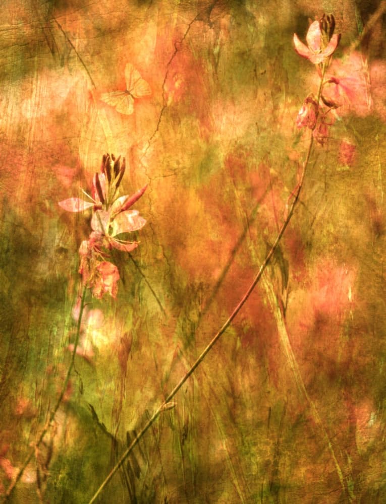 Warm Autumn Wildflowers by Delphine Devos — canvas wall art