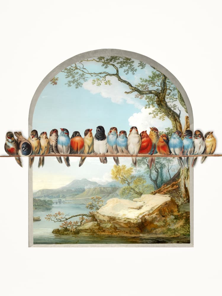 Birds Over Serene Landscape by Marja van den Hurk — canvas wall art