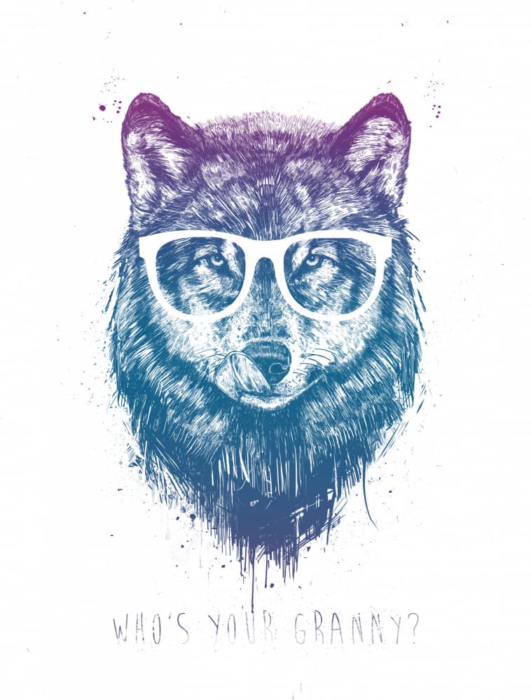 Hipster Wolf Portrait by Balazs Solti — canvas wall art