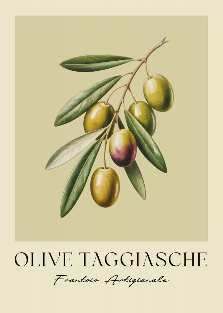 Mediterranean Olive Branch by Andreas Magnusson — canvas wall art