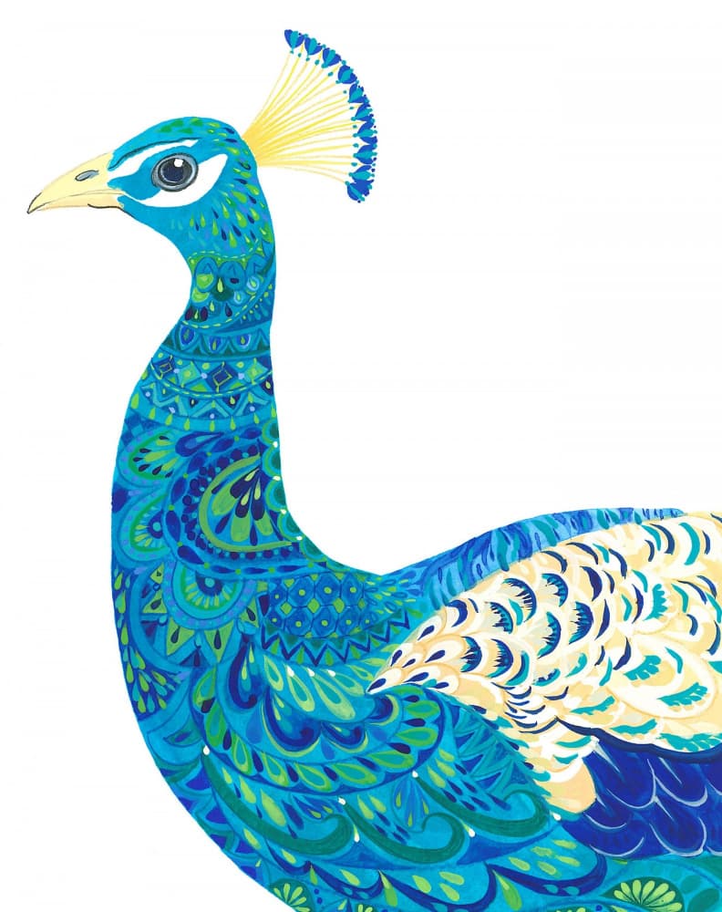 Flamboyant Peacock by Isabelle Brent — canvas wall art