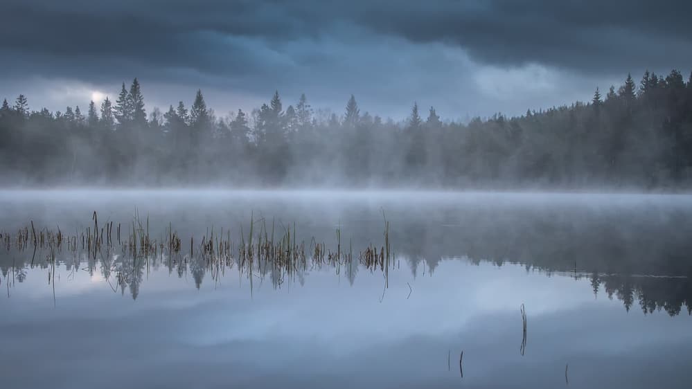 Misty Morning Lake Reflection by Benny Pettersson — canvas wall art