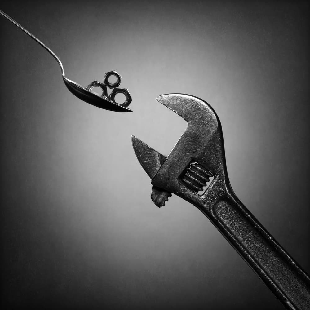 Feeding the Wrench by Victoria Glinka — canvas wall art