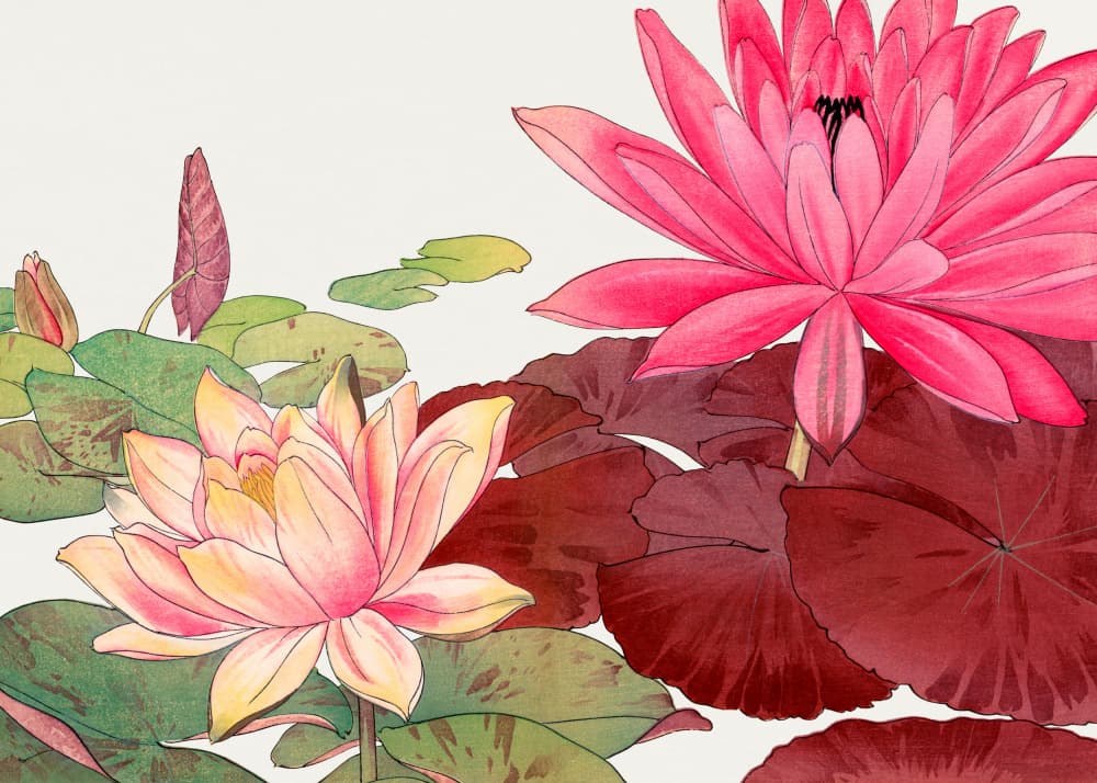 Nymphaea Lotus No.2 by Tanigami Konan — canvas wall art