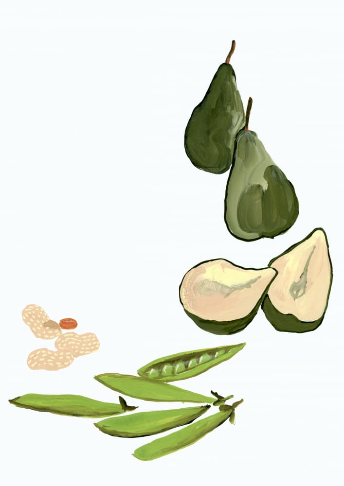 Fresh Pears Peas Peanuts by Rosana Laiz Blursbyai — canvas wall art