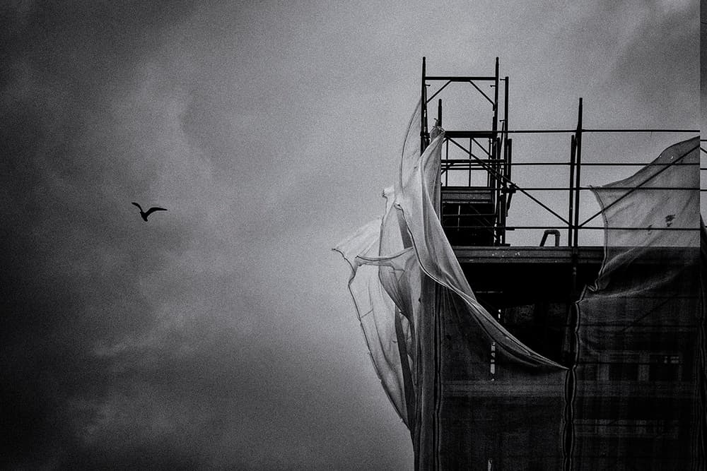 Urban Bird Flight by Massimo Della Latta — canvas wall art