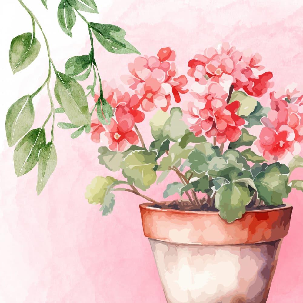Turkish Delight by Saskia Michele — canvas wall art