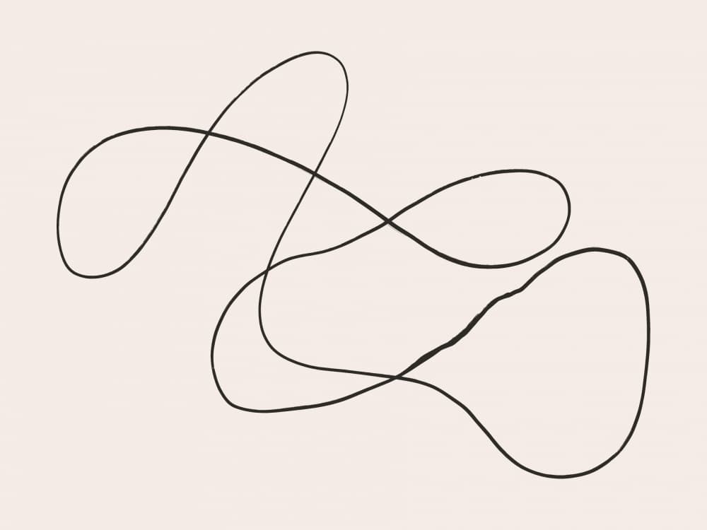 Elegant Continuous Line by Little Dean — canvas wall art