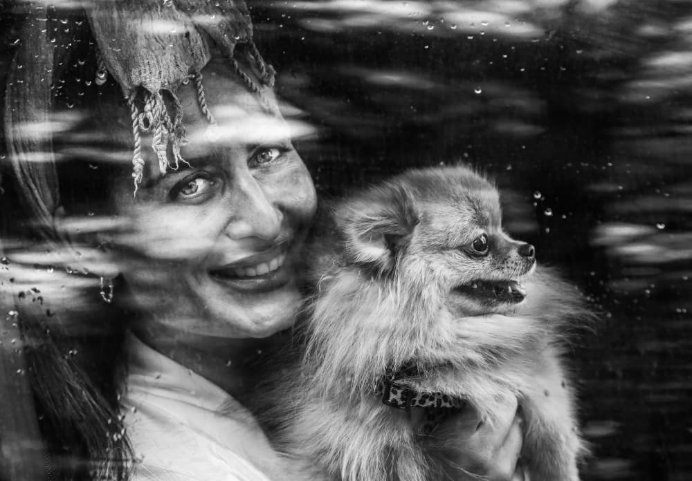 Rainy Day Companions by Ummu Nisan Kandilcioglu — canvas wall art