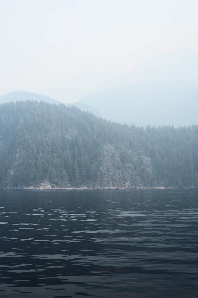 Misty Mountain Lake by Lynann Colligan — canvas wall art
