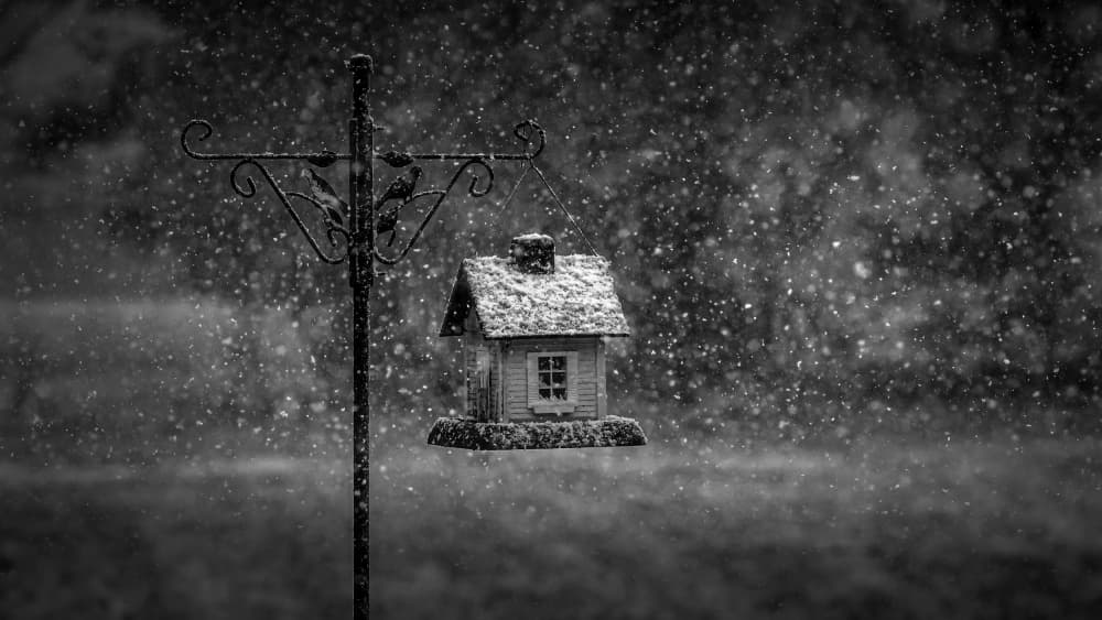 Cozy Winter Birdhouse by Kenneth-Wei Zeng — canvas wall art