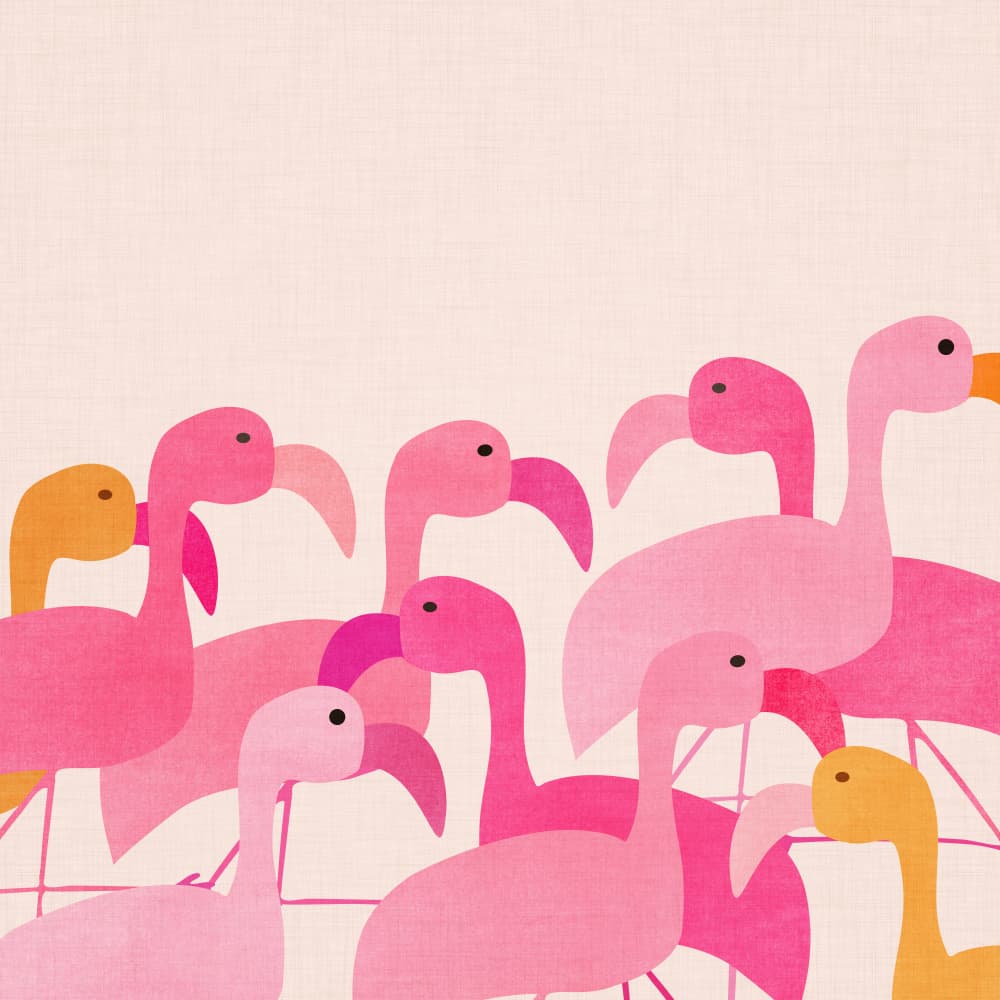 Flamingos by Kristian Gallagher — canvas wall art