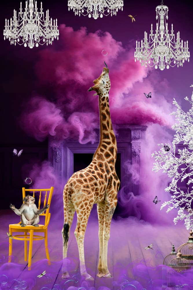 Giraffe And Monkey Dream by Sue Skellern — canvas wall art