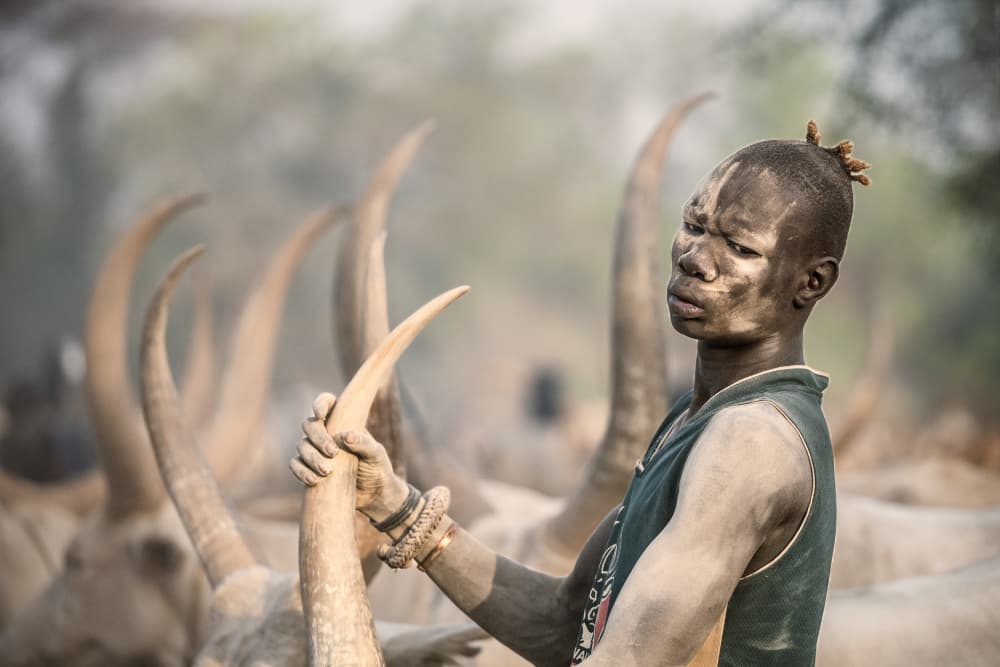 African Herdsman and Horns by Trevor Cole — canvas wall art