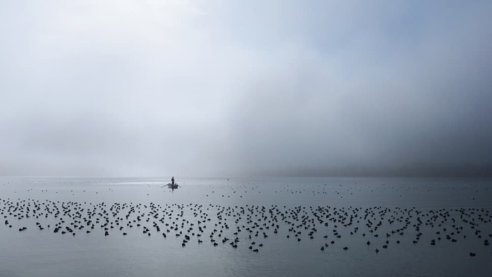 Misty Oyster Farm by Uschi Hermann — canvas wall art