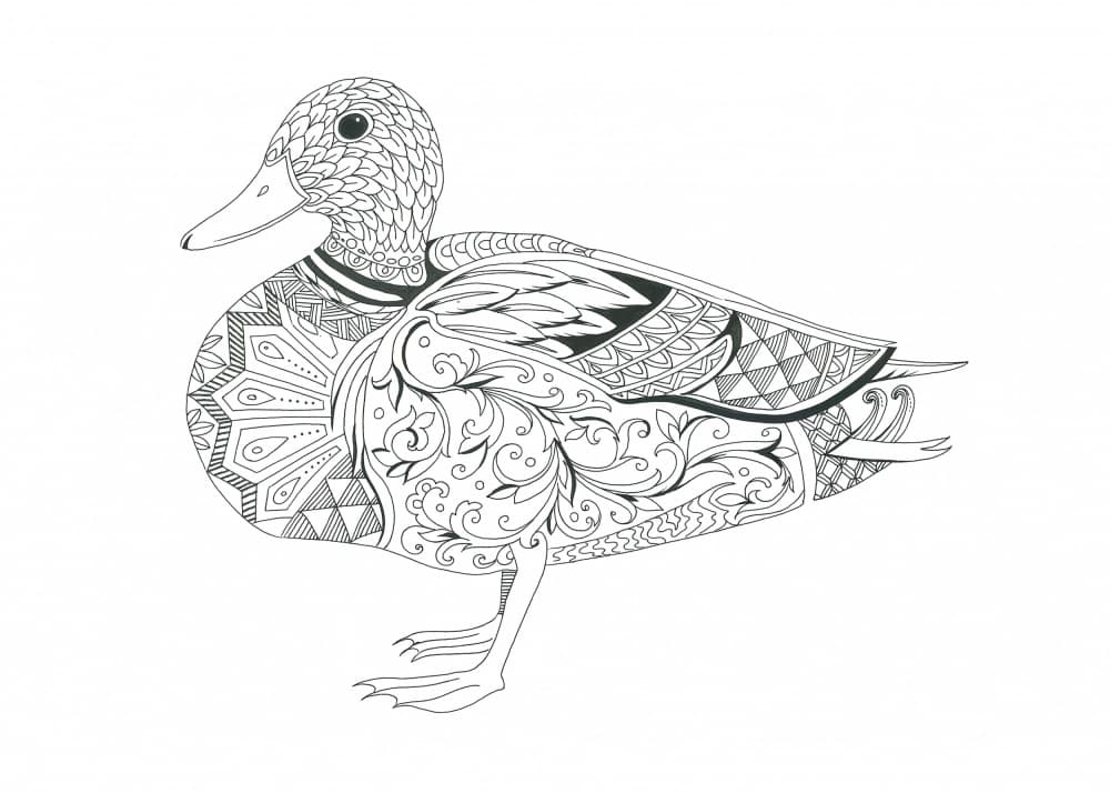 Ornate Duck Design by Isabelle Brent — canvas wall art