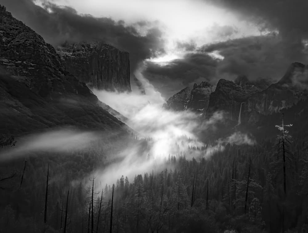 Misty Yosemite Valley by Judy Tseng — canvas wall art
