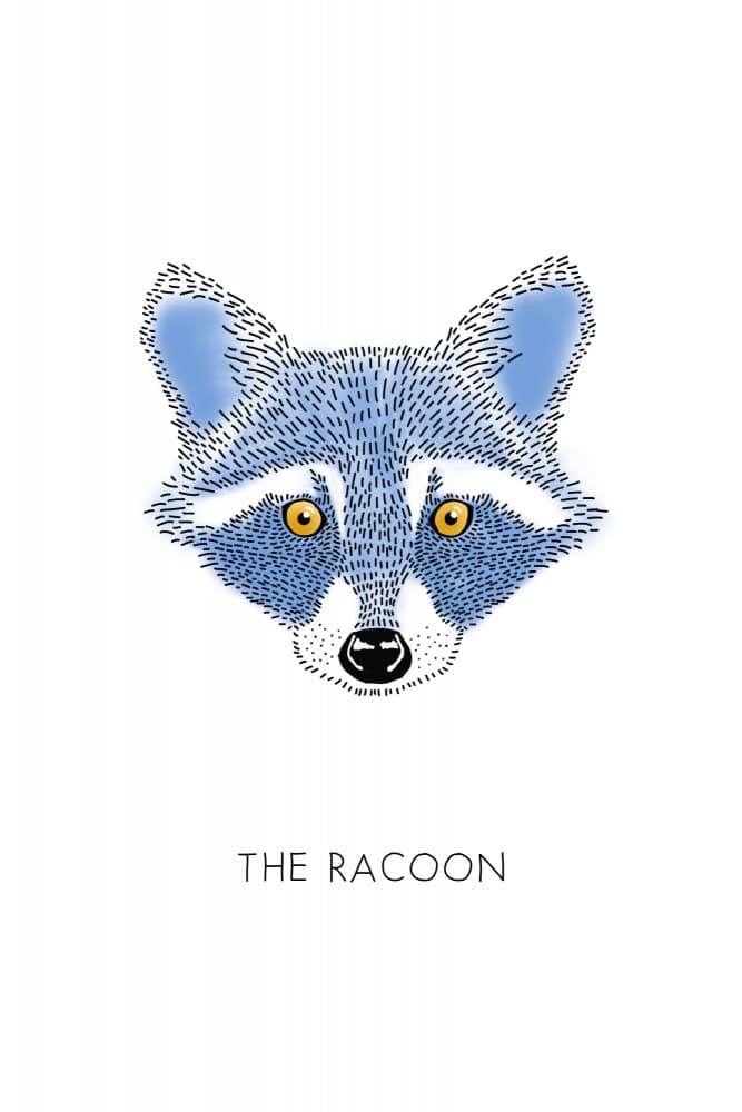 Whimsical Raccoon Face by Alexandra Weise — canvas wall art