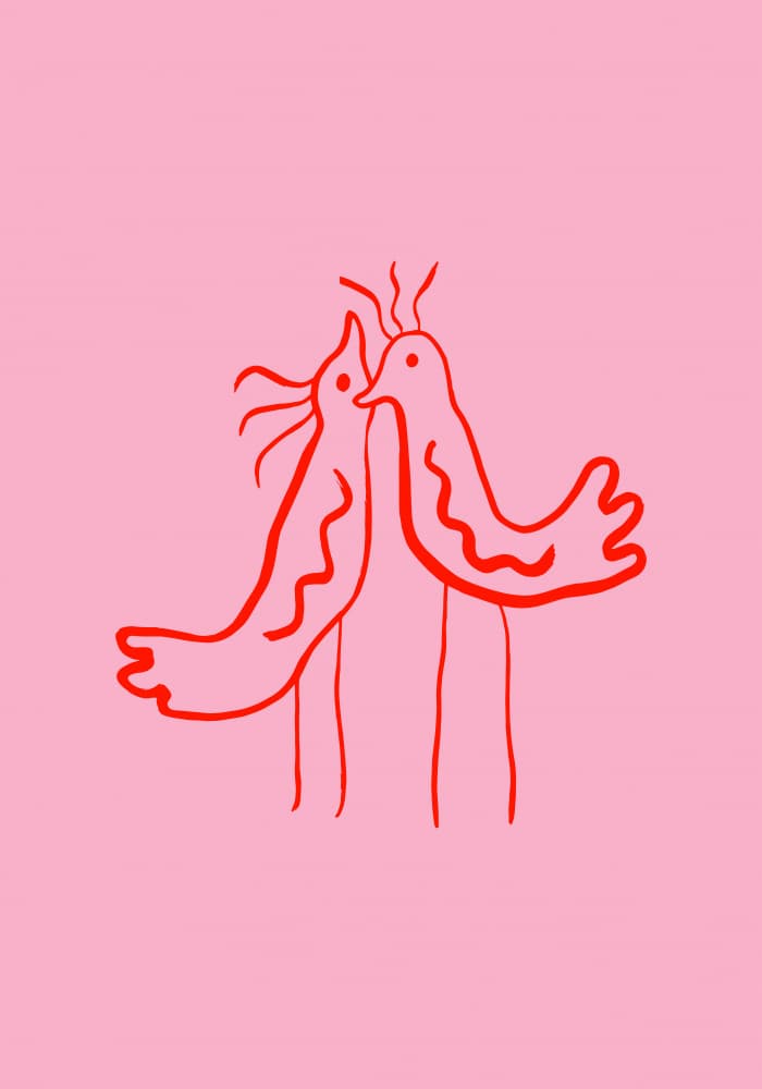 Sweet Pink Love Birds by Studio JKN — canvas wall art